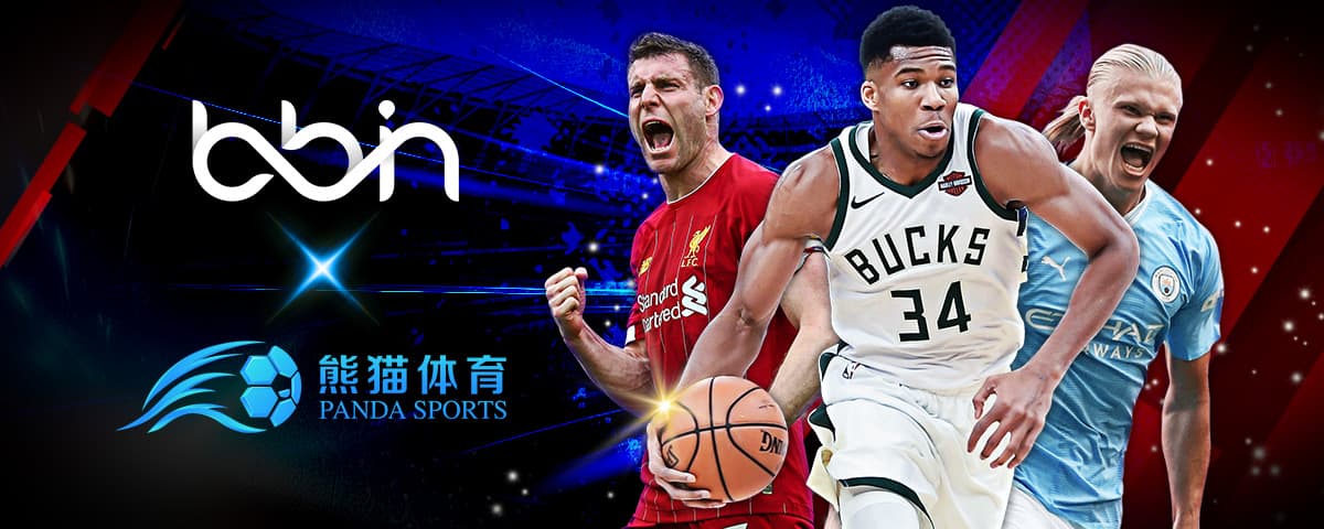樊振东与陈