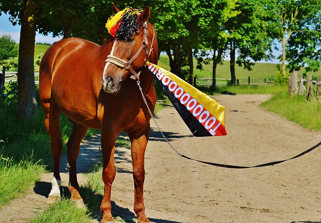 济南文旅坚 济南文旅坚
