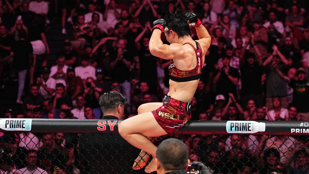 他的动作 他的动作