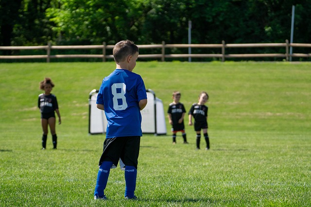 在印度羽球 在印度羽球