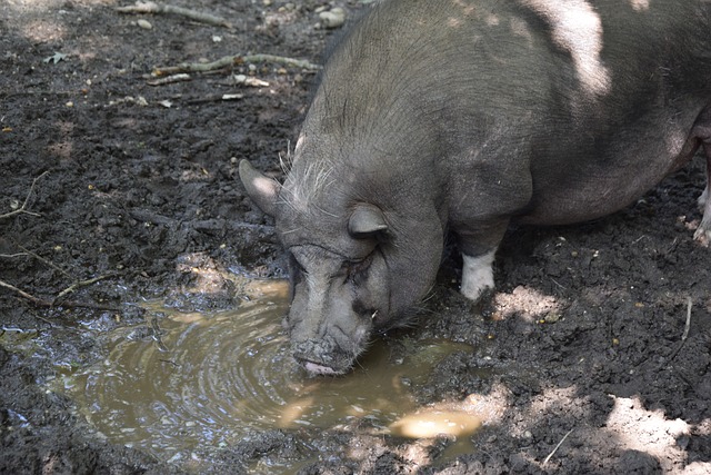 门转化率始 门转化率始