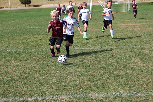 胜负真不可 胜负真不可